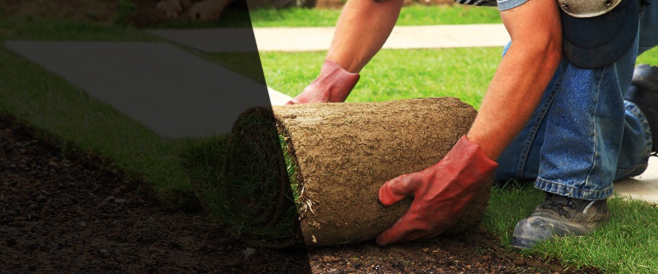 Plantation Landscapers